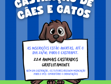 Inscrições para castrar cães e gatos encerram na próxima sexta em Mercedes